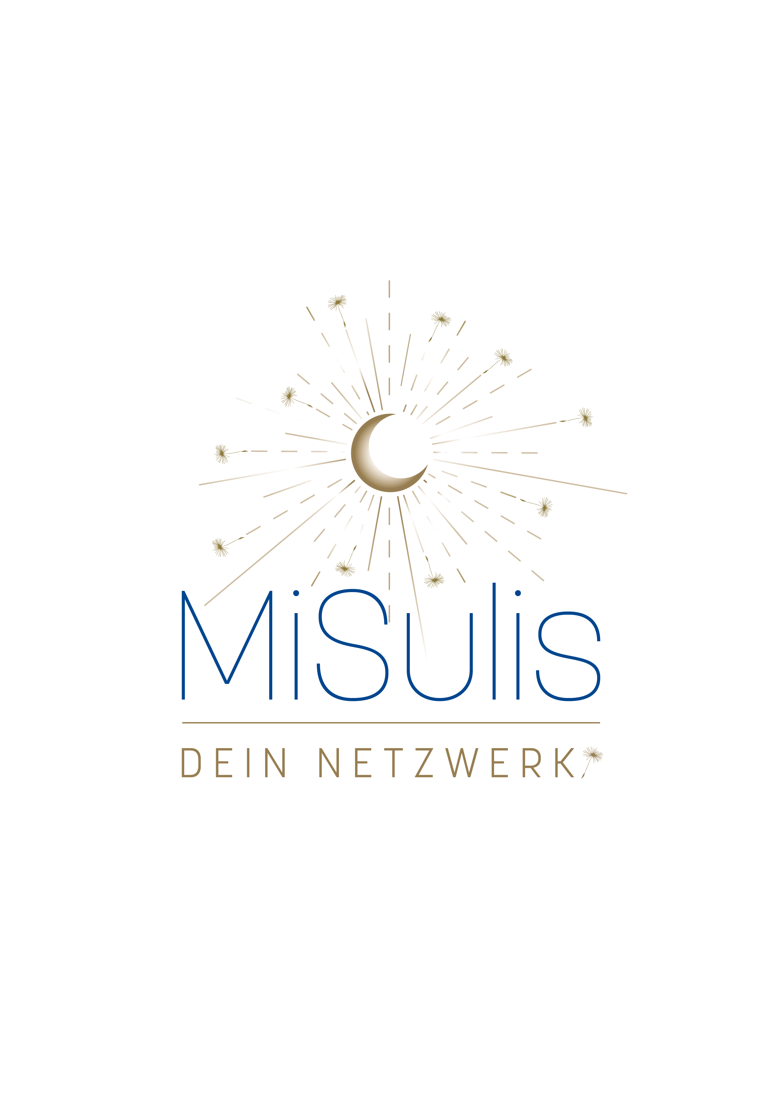 MiSulis